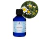 Roman Chamomile Organic